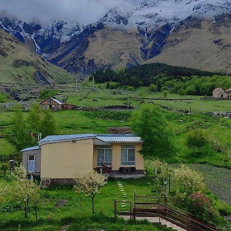 Mountain Kazbegi Apartment Eksteriør billede