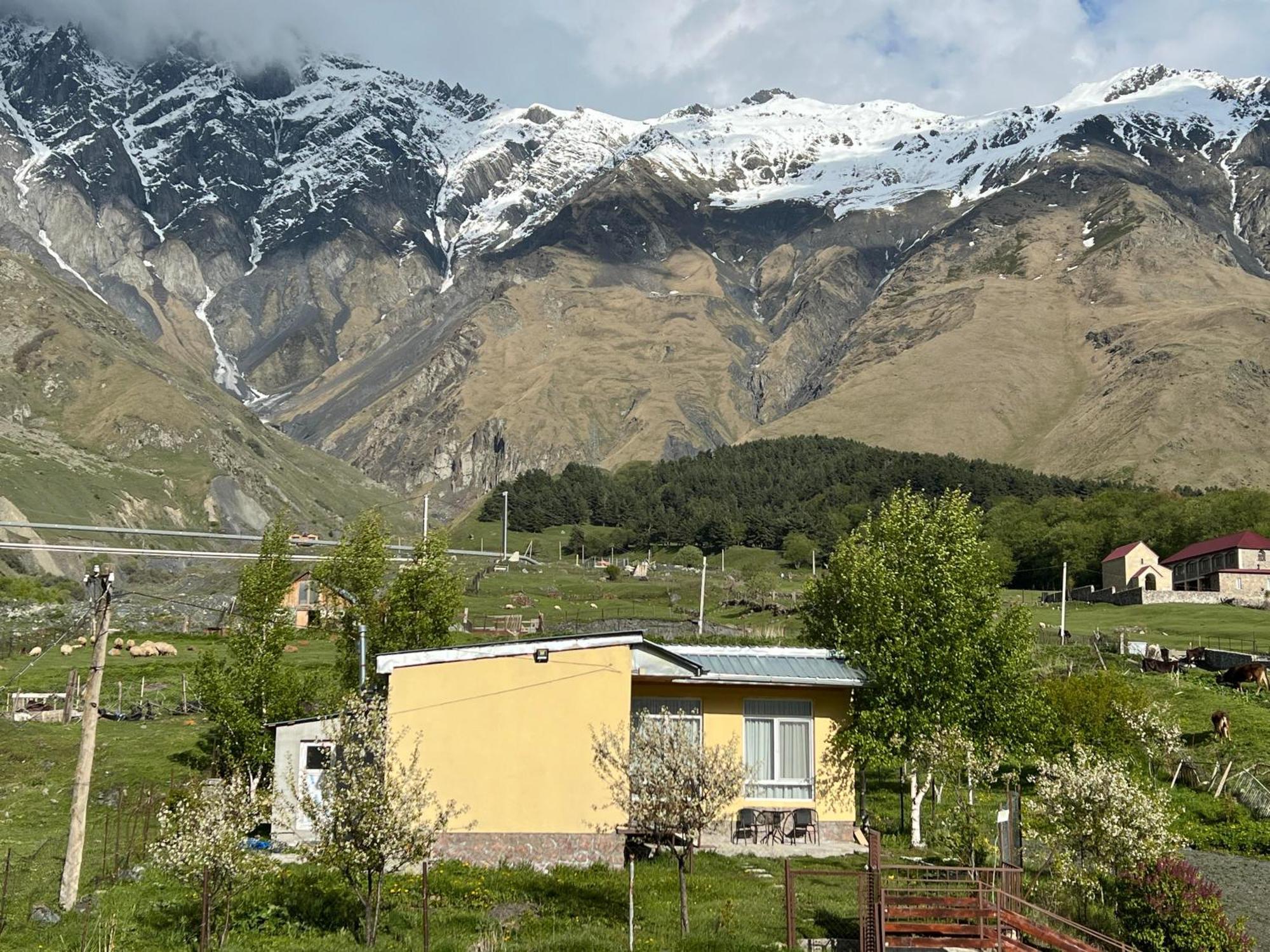 Mountain Kazbegi Apartment Eksteriør billede